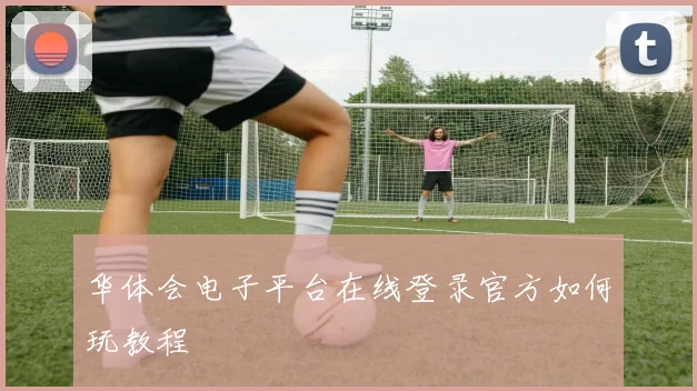 华体会电子平台在线登录官方如何玩教程