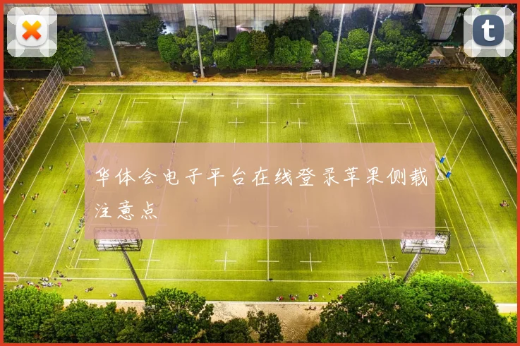 华体会电子平台在线登录苹果侧载注意点